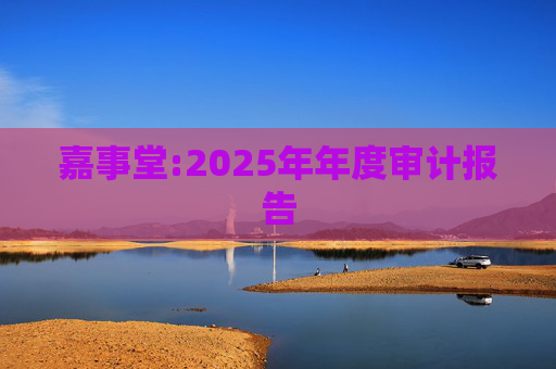 嘉事堂:2025年年度审计报告