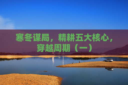 寒冬谋局，精耕五大核心，穿越周期（一）