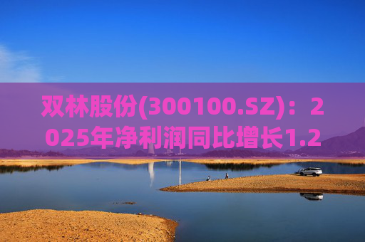 双林股份(300100.SZ)：2025年净利润同比增长1.25% 拟10股派1元