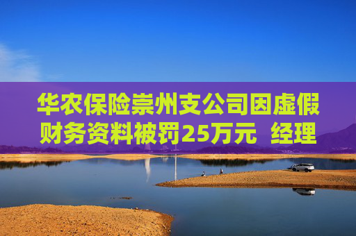 华农保险崇州支公司因虚假财务资料被罚25万元  经理同步被罚4万元
