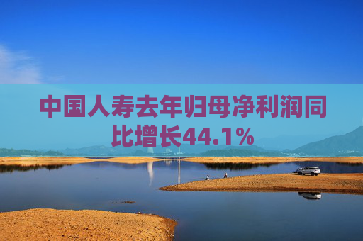 中国人寿去年归母净利润同比增长44.1%