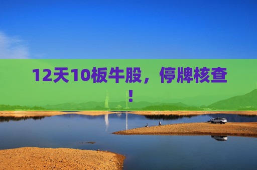 12天10板牛股，停牌核查！