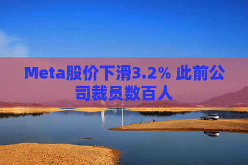Meta股价下滑3.2% 此前公司裁员数百人