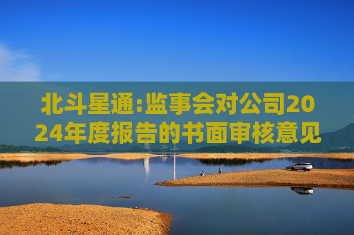 北斗星通:监事会对公司2024年度报告的书面审核意见