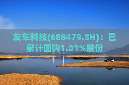 友车科技(688479.SH)：已累计回购1.01%股份  第1张