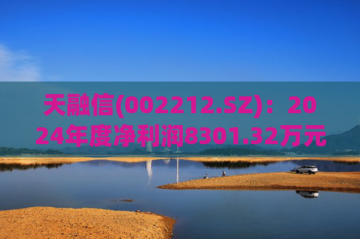天融信(002212.SZ)：2024年度净利润8301.32万元 拟10派0.2元  第1张