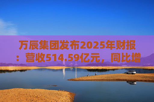 万辰集团发布2025年财报：营收514.59亿元，同比增长59.17%