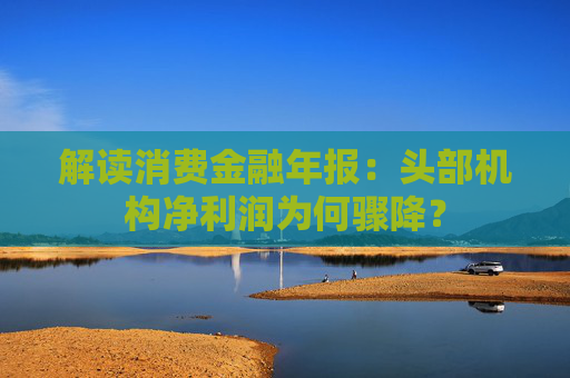 解读消费金融年报：头部机构净利润为何骤降？