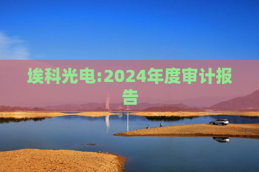 埃科光电:2024年度审计报告  第1张