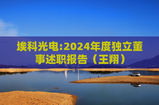 埃科光电:2024年度独立董事述职报告（王翔）