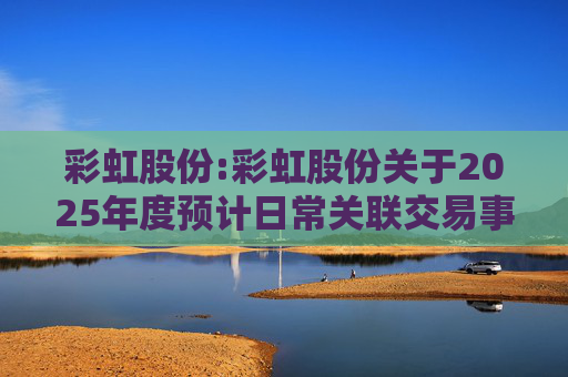 彩虹股份:彩虹股份关于2025年度预计日常关联交易事项的公告  第1张
