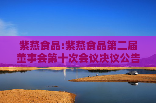 紫燕食品:紫燕食品第二届董事会第十次会议决议公告  第1张