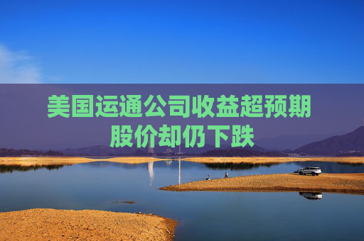 美国运通公司收益超预期 股价却仍下跌  第1张