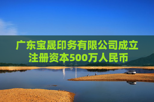 广东宝晟印务有限公司成立 注册资本500万人民币  第1张