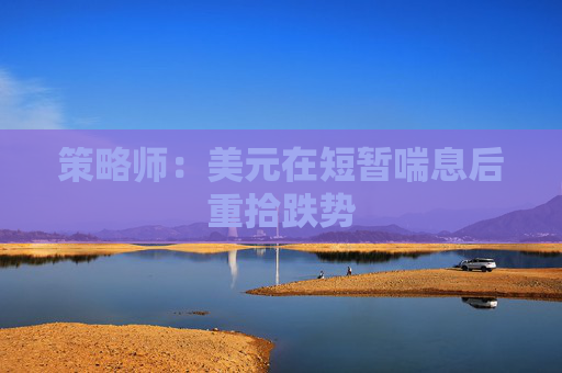 策略师：美元在短暂喘息后重拾跌势