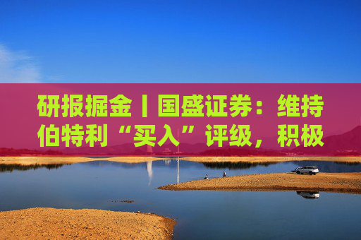 研报掘金丨国盛证券:维持伯特利“买入”评级,积极布局机器人行业 第1张 研报掘金丨国盛证券:维持伯特利“买入”评级,积极布局机器人行业 第1张