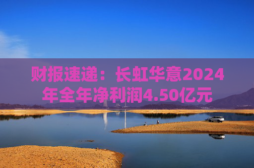 财报速递：长虹华意2024年全年净利润4.50亿元  第1张