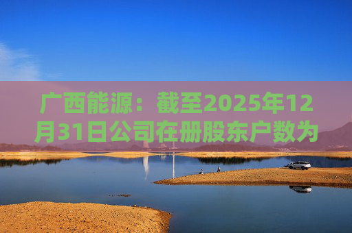广西能源：截至2025年12月31日公司在册股东户数为53413户