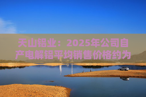 天山铝业：2025年公司自产电解铝平均销售价格约为20600元/吨