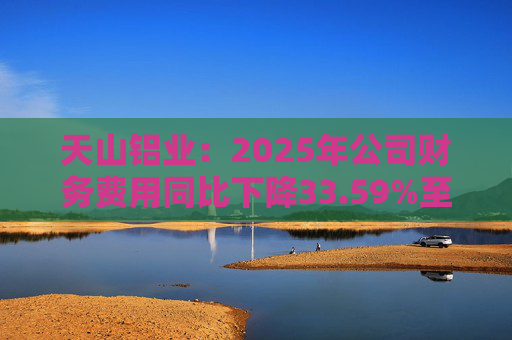 天山铝业：2025年公司财务费用同比下降33.59%至4.70亿元  第1张