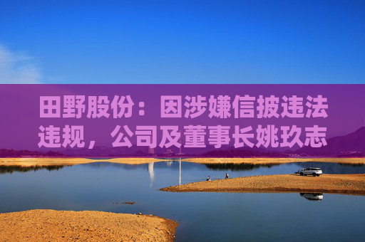 田野股份：因涉嫌信披违法违规，公司及董事长姚玖志被证监会立案调查