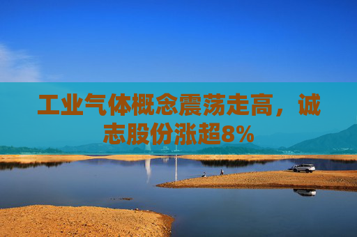 工业气体概念震荡走高，诚志股份涨超8%