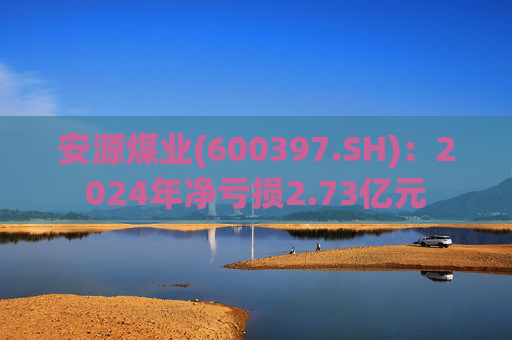 安源煤业(600397.SH)：2024年净亏损2.73亿元