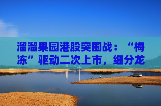 溜溜果园港股突围战：“梅冻”驱动二次上市，细分龙头能否破解盈利隐忧？  第1张