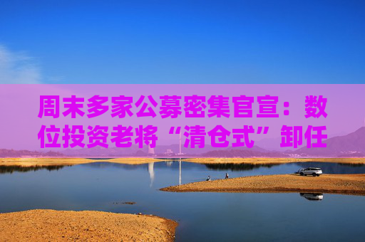 周末多家公募密集官宣：数位投资老将“清仓式”卸任，管理规模近年来普遍下降