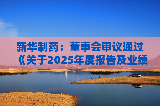 新华制药：董事会审议通过《关于2025年度报告及业绩公告的议案》等多项议案
