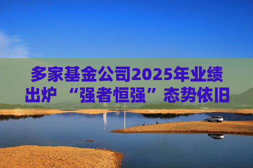 多家基金公司2025年业绩出炉 “强者恒强”态势依旧