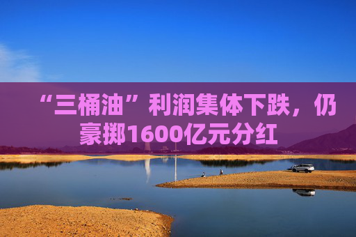 “三桶油”利润集体下跌，仍豪掷1600亿元分红