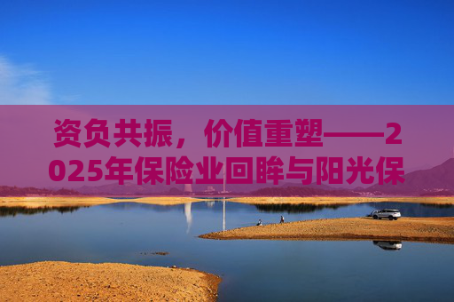 资负共振，价值重塑――2025年保险业回眸与阳光保险样本
