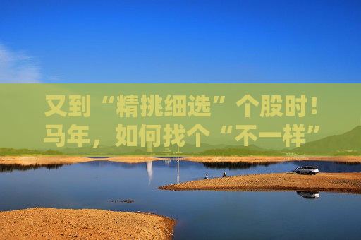 又到“精挑细选”个股时！马年，如何找个“不一样”的基金管理人替你出赛？