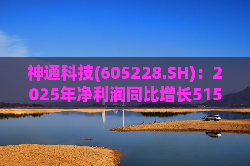 神通科技(605228.SH)：2025年净利润同比增长515.85%
