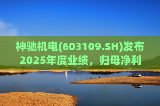 神驰机电(603109.SH)发布2025年度业绩，归母净利润1.34亿元，同比下降30.94%