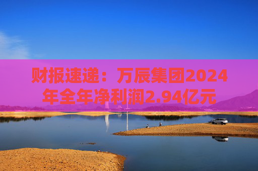 财报速递：万辰集团2024年全年净利润2.94亿元