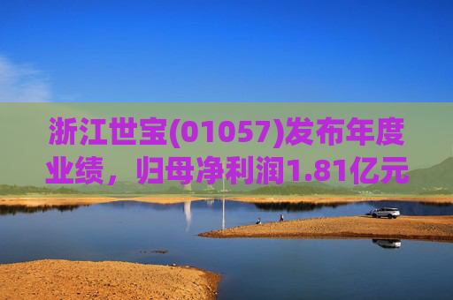 浙江世宝(01057)发布年度业绩，归母净利润1.81亿元 同比增加21.05%