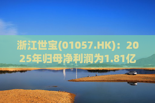 浙江世宝(01057.HK)：2025年归母净利润为1.81亿元 同比增加21.05%
