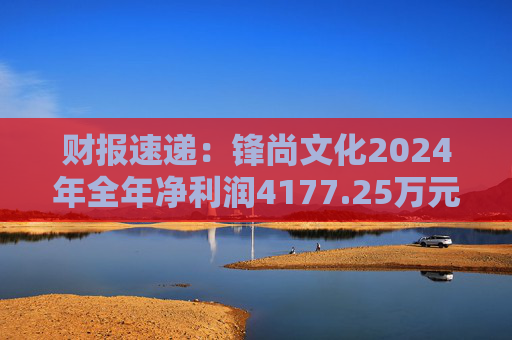 财报速递：锋尚文化2024年全年净利润4177.25万元  第1张