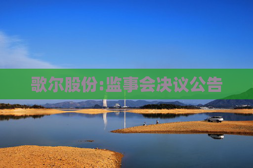 歌尔股份:监事会决议公告  第1张