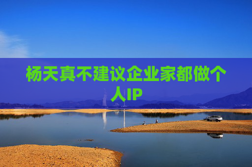 杨天真不建议企业家都做个人IP