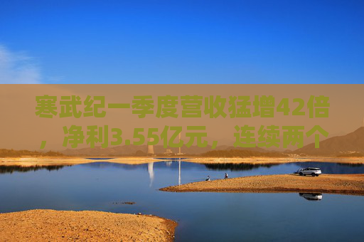 寒武纪一季度营收猛增42倍，净利3.55亿元，连续两个季度盈利