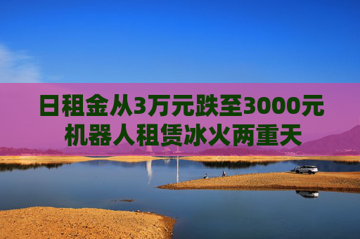 日租金从3万元跌至3000元 机器人租赁冰火两重天