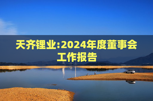 天齐锂业:2024年度董事会工作报告