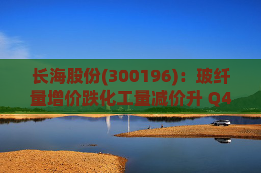 长海股份(300196)：玻纤量增价跌化工量减价升 Q4业绩同比显著修复