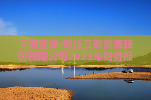 立新能源:新疆立新能源股份有限公司2023年财务报表审计报告书  第1张