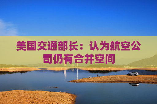 美国交通部长：认为航空公司仍有合并空间