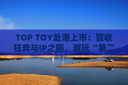 TOP TOY赴港上市：营收狂奔与IP之困，潮玩“第二极”如何穿越估值迷局？