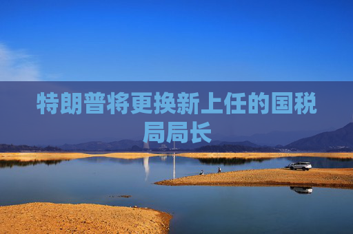 特朗普将更换新上任的国税局局长